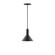 Chase One Light Pendant in Black (518|PEBX45141C02)