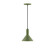 Chase One Light Pendant in Fern Green (518|PEBX45122C16)