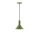 Chase One Light Pendant in Fern Green (518|PEBX45122)
