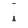 Flare One Light Pendant in Black (518|PEB43641C23)