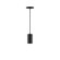 Beam One Light Pendant in Black (518|PEB42541C12)