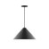 Pinnacle One Light Pendant in Black (518|PEB423G1541C23)