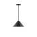 Pinnacle One Light Pendant in Black (518|PEB422G1541C25)