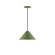 Pinnacle One Light Pendant in Fern Green (518|PEB422G1522C22)