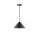 Pinnacle One Light Pendant in Black (518|PEB42241)