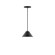 Pinnacle One Light Pendant in Black (518|PEB42141C12)