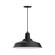 Warehouse One Light Pendant in Black (518|PEB18641C21)