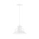 Homestead One Light Pendant in Barn Red (518|PEB14255C12G05)