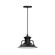 Homestead One Light Pendant in Black (518|PEB14241C04)