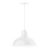 Cafe One Light Pendant in Painted Galvanized (518|PEB10849G05)