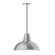 Cafe One Light Pendant in Painted Galvanized (518|PEB10849C12)
