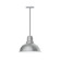 Cafe One Light Pendant in Painted Galvanized (518|PEB10749)