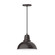 Cafe One Light Pendant in Architectural Bronze (518|PEB10651)