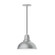 Cafe One Light Pendant in Painted Galvanized (518|PEB10649)