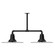 Radial Two Light Pendant in Black (518|MSD15941T48)