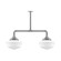 Schoolhouse Two Light Pendant in Painted Galvanized (518|MSD02149)