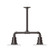 Radial Two Light Pendant in Architectural Bronze (518|MSB15751T30G05)