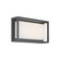 Framed LED Outdoor Wall Sconce in Bronze (281|WSW73614BZ)