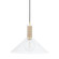 Besa One Light Pendant in Aged Brass (428|H622701LAGB)