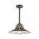R Series One Light Pendant in Architectural Bronze (59|RRRS18ABR)