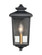 Eldrick One Light Outdoor Hanging Lantern in Powder Coat Black (59|4641PBK)