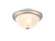 Whitton Two Light Flushmount in Satin Nickel (59|4601SN)