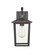 Fetterton One Light Outdoor Hanging Lantern in Powder Coated Bronze (59|2971PBZ)