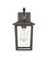 Fetterton Two Light Outdoor Hanging Lantern in Powder Coat Bronze (59|2971PBZ)