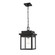 Belle Chasse One Light Outdoor Hanging Lantern in Powder Coat Black (59|2665PBK)