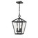 Arnold Four Light Outdoor Hanging Lantern in Powder Coat Black (59|2534PBK)