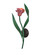 Tulip One Light Wall Sconce in Cafe Noir/Green/Peach-Pink (57|99463)