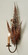 Fern One Light Wall Sconce in Hand Painted Rust (57|67833)