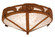 Alligator Two Light Flushmount in Rust (57|26876)