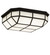 Gibbon LED Flushmount in Black Metal (57|248121)