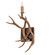 Antlers One Light Wall Sconce in Natural Antler (57|247849)