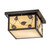 Hyde Park Two Light Flushmount in Craftsman Brown (57|242335)