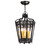Cardiff Four Light Pendant in Oxidized Steel (57|238571)