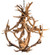 Antlers Ten Light Chandelier in Mahogany Bronze (57|212275)