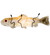 Rainbow Trout Two Light Wall Sconce in Textured Black (57|197320)