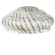 Pate-De-Verre Shade in Oil Rubbed Bronze (57|12232)