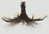 Twigs Eight Light Pendant in Antique Copper (57|122112) Twigs Eight Light Pendant in Antique Copper (57|122112)