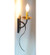 Allure One Light Wall Sconce in Hand Wrought Iron (57|110644)