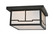 Hyde Park Two Light Flushmount in Craftsman Brown (57|106621)