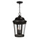Dover DC Three Light Outdoor Hanging Lantern in Bronze (16|3029CDBZ)