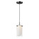 Duo LED Mini Pendant in Black (16|12289CLSWBK)