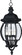 Crown Hill Four Light Outdoor Hanging Lantern in Black (16|1039BK)