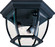 Crown Hill Three Light Outdoor Ceiling Mount in Black (16|1029BK)