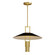 Tahoe LED Pendant in Black / Satin Brass (16|10098BKSBR)