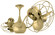 Vent-Bettina 42'' Ceiling Fan in Brushed Brass (101|VBBRBRMTL)