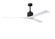 Nan XL 72'' Ceiling Fan in Matte Black (101|NKXLBKMWH72)